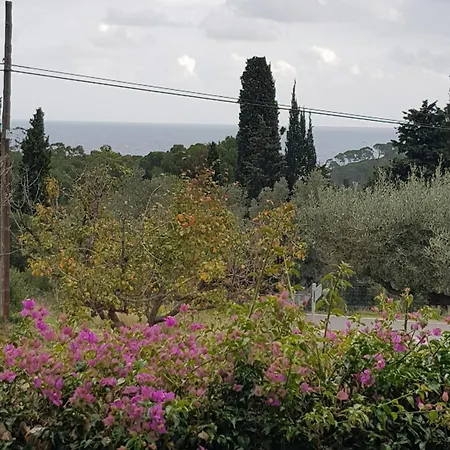 Ξενοδοχείο Nuevo Ondina 3*