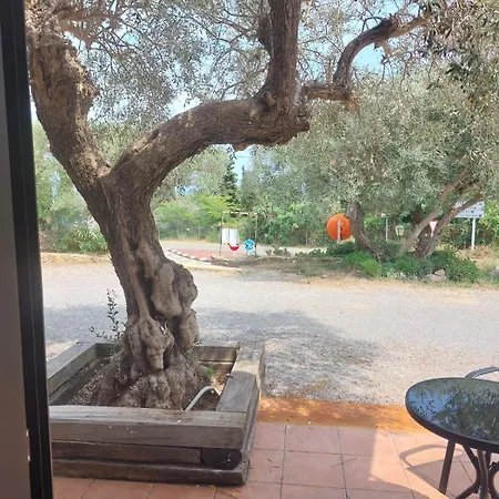 Nuevo Ondina Otel Begur
