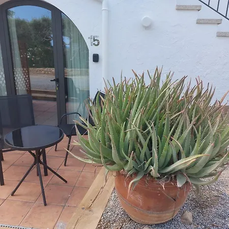 Hotel Nuevo Ondina 3*