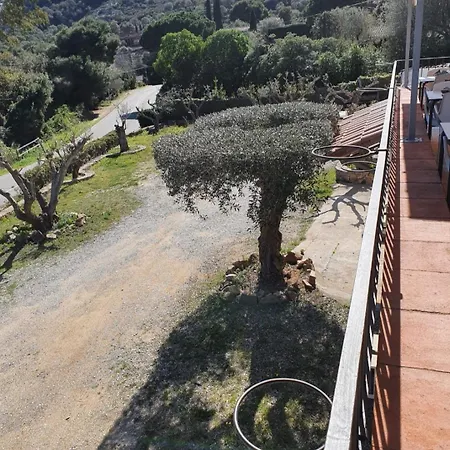 Nuevo Ondina 3*