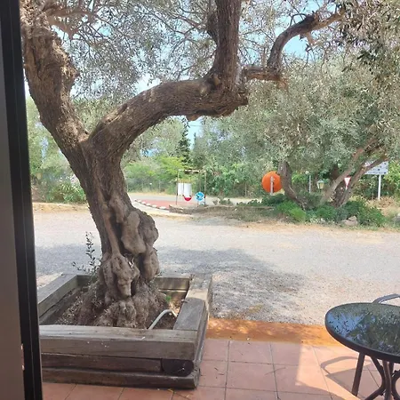 Nuevo Ondina מלון בגור