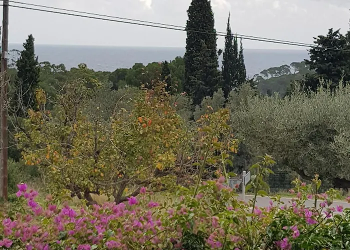 Ξενοδοχείο Nuevo Ondina 3*