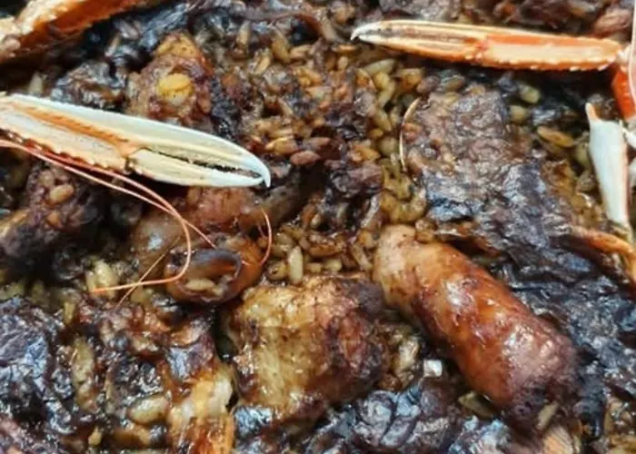 Nuevo Ondina Begur