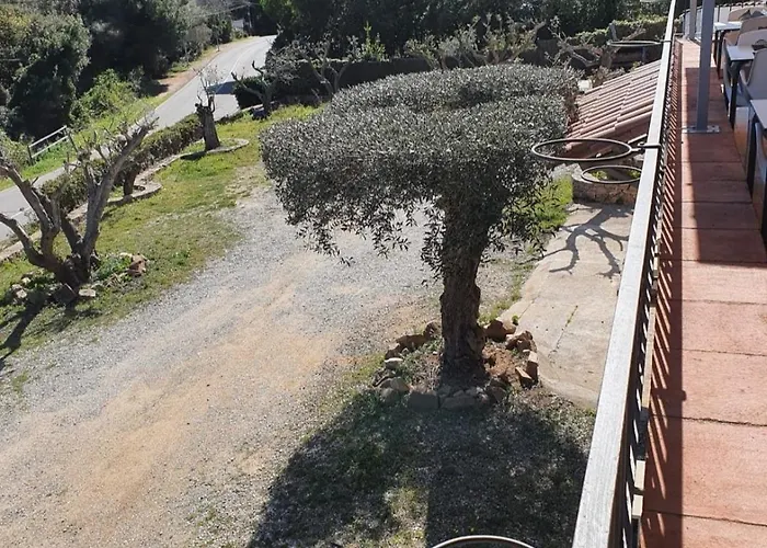 Nuevo Ondina 3*