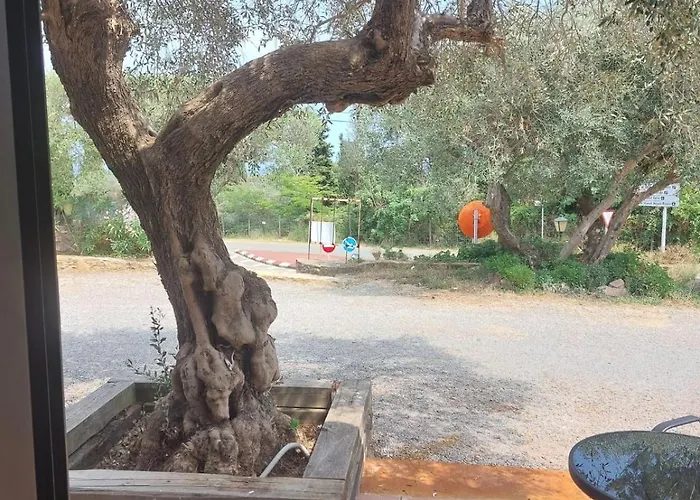 Nuevo Ondina Hotel Begur